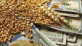 В 2023 году США поставили антирекорд по экспорту сельхозпродукции